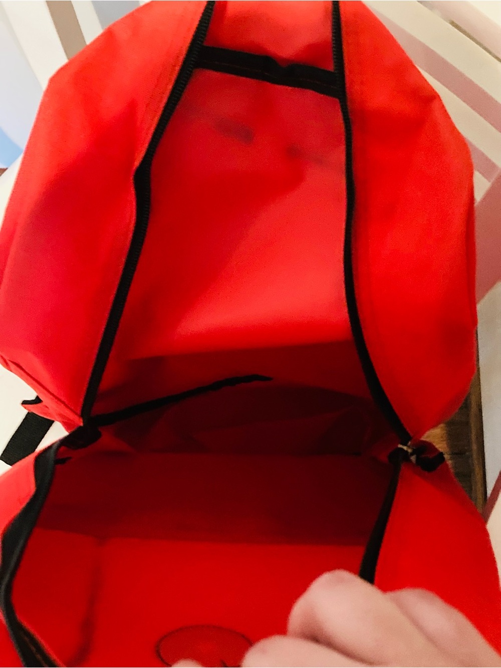 Red Backpack - Picture 3 of 8
